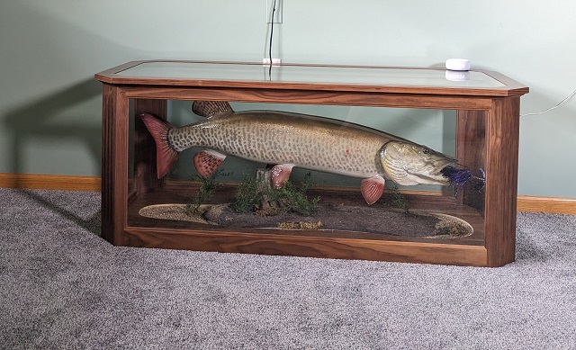 MuskieFIRST  Iowa Tiger Musky Record » General Discussion