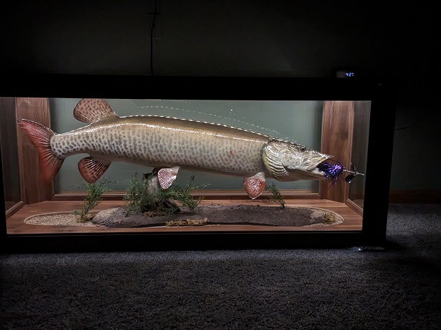 MuskieFIRST  Musky Mission Complete Auction » General Discussion