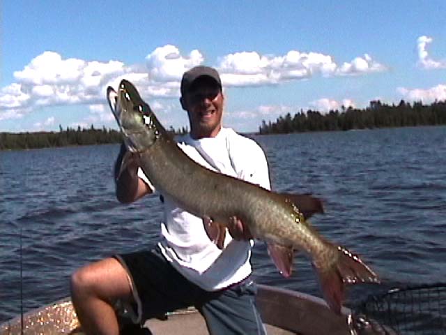 Click to expand / contract the width of this image