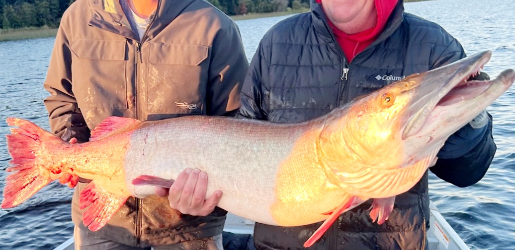 Everything about it was pretty unbelievable': 51.5 inch Muskie caught in  West Bay