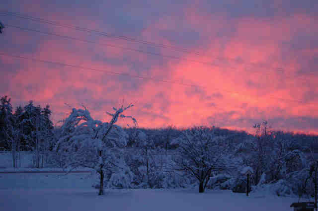 Click to expand / contract the width of this image