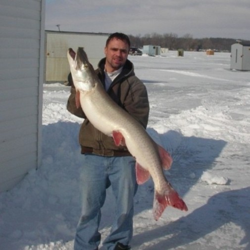 Click to expand / contract the width of this image