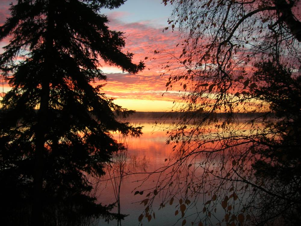 Click to expand / contract the width of this image