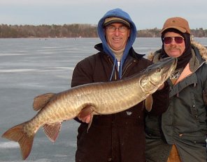 Click to expand / contract the width of this image