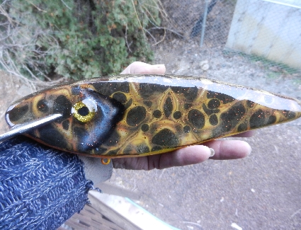 Click to expand / contract the width of this image