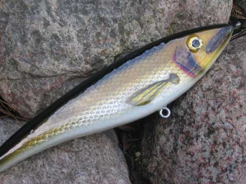 MuskieFIRST  Doing Foil Baits » Basement Baits and Custom Lure Painting »  More Muskie Fishing