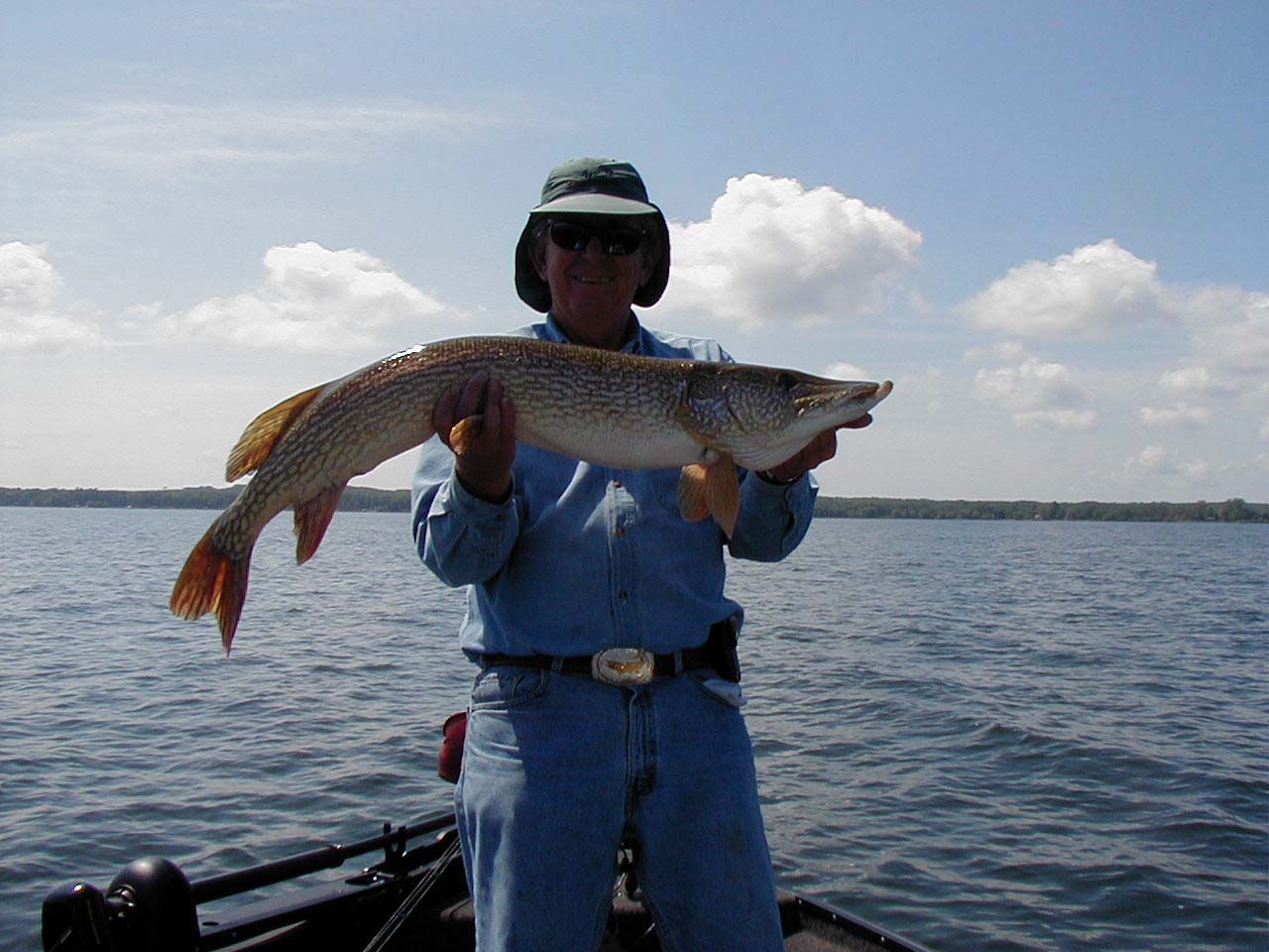 Click to expand / contract the width of this image