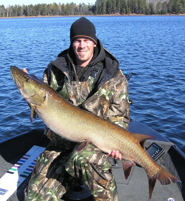 49 Muskie caught on 10lb test line with a baitcast reel on medium