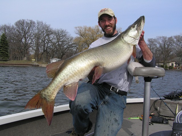 MuskieFIRST  Does size really matter? » General Discussion » Muskie Fishing