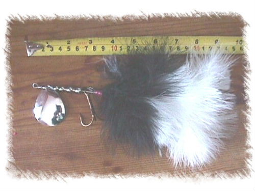 Click to expand / contract the width of this image