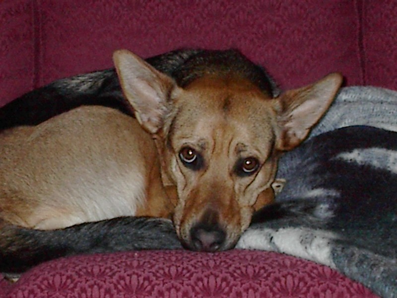 Click to expand / contract the width of this image