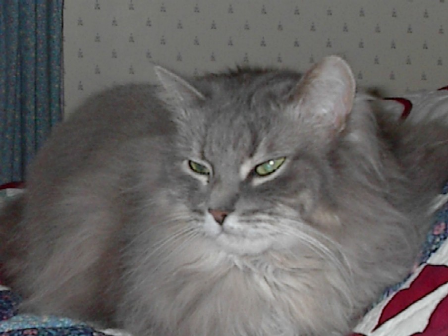 Click to expand / contract the width of this image