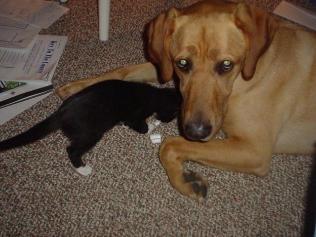 Click to expand / contract the width of this image