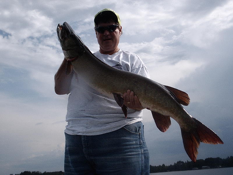 Click to expand / contract the width of this image