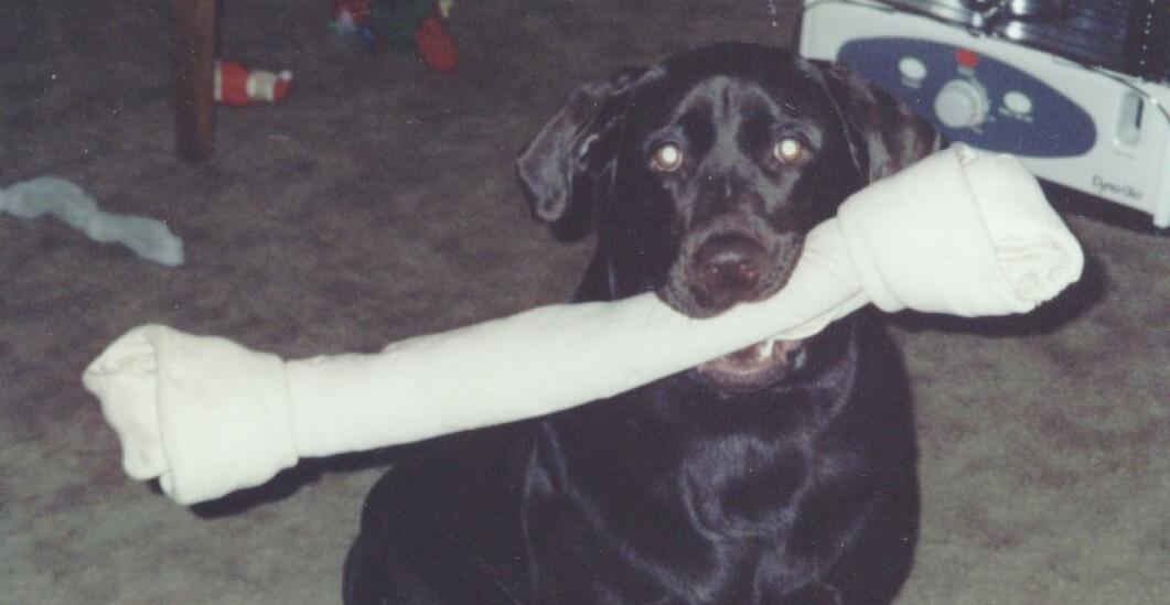 Click to expand / contract the width of this image