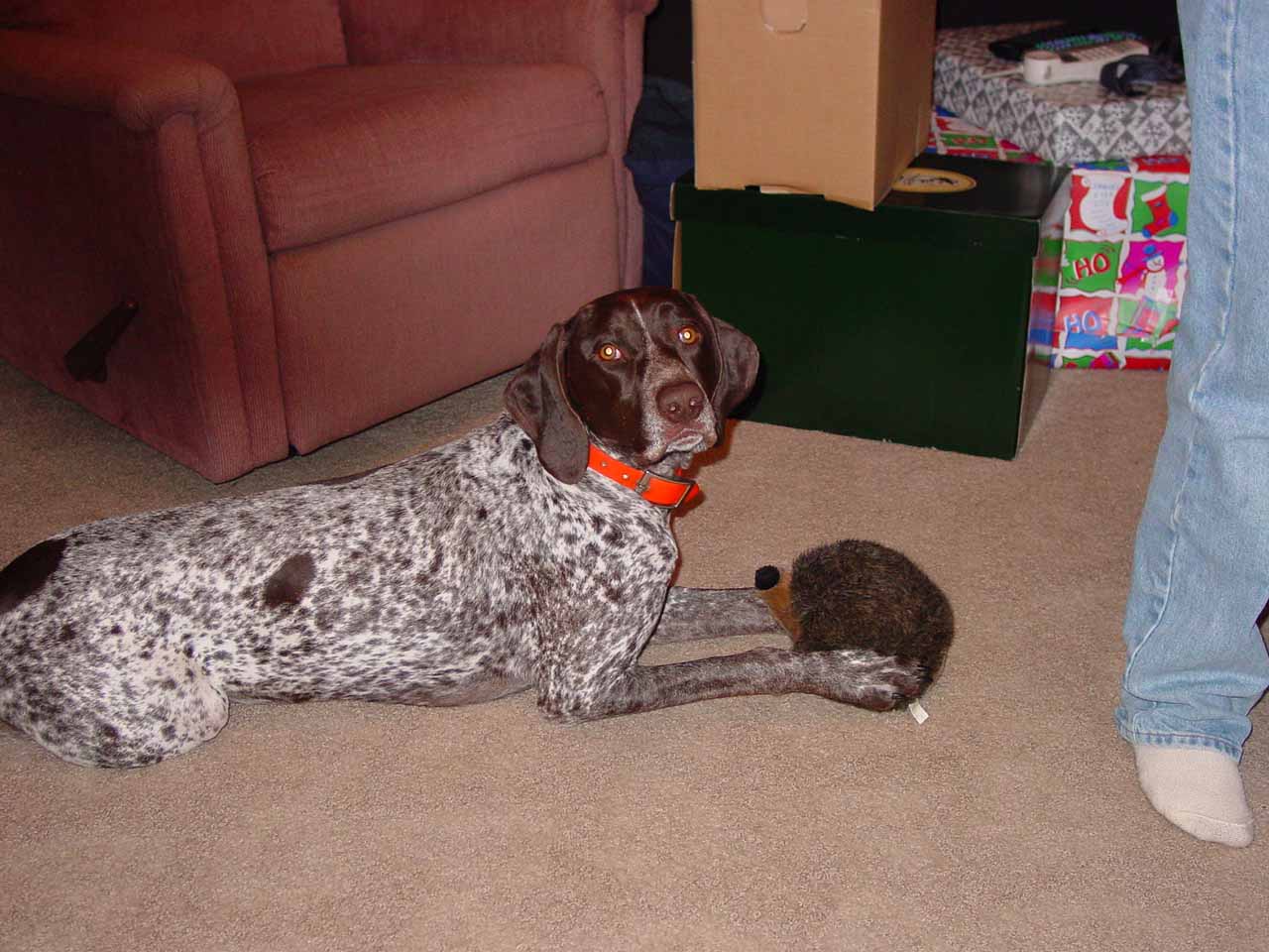 Click to expand / contract the width of this image