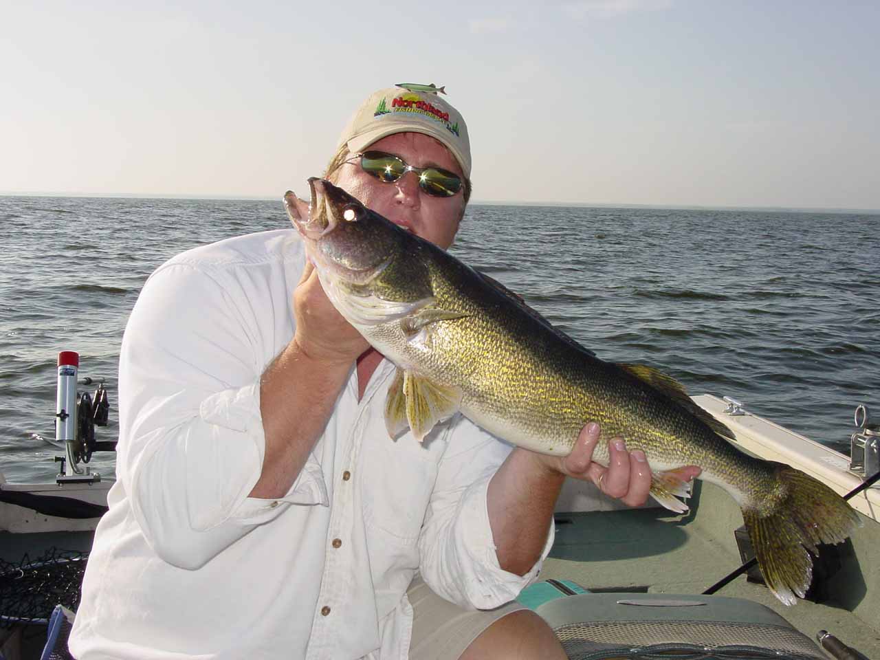 Click to expand / contract the width of this image