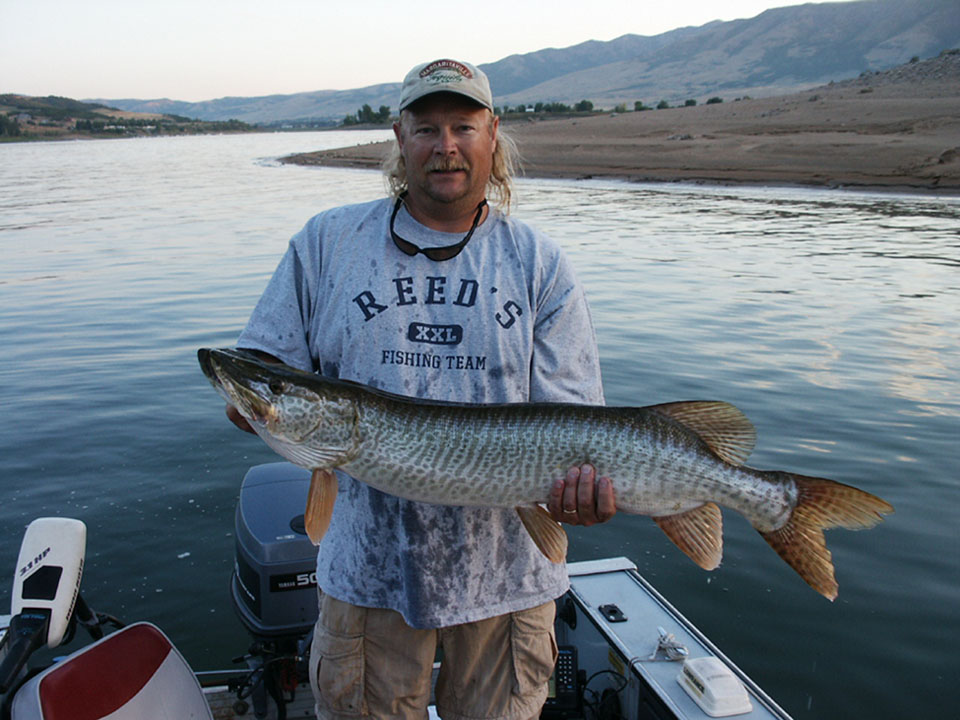 Click to expand / contract the width of this image