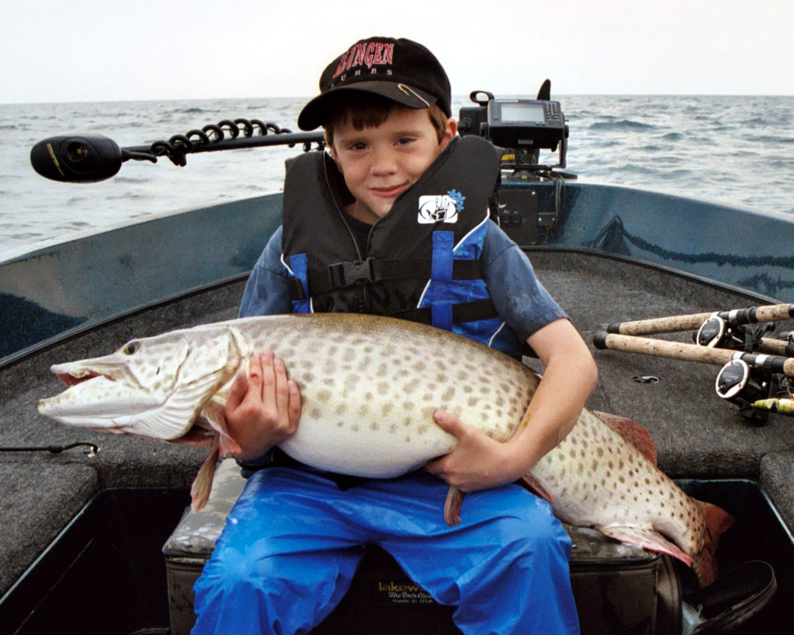 Click to expand / contract the width of this image