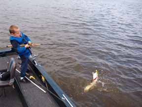 Click to expand / contract the width of this image