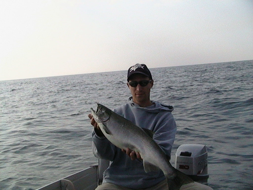 Click to expand / contract the width of this image