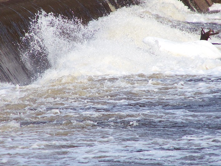 Click to expand / contract the width of this image