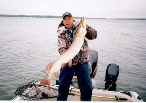 Click to expand / contract the width of this image