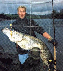 Click to expand / contract the width of this image