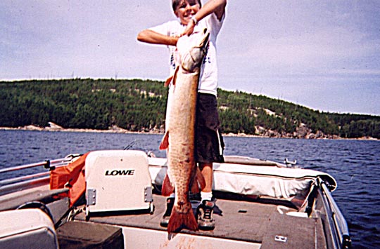 Click to expand / contract the width of this image