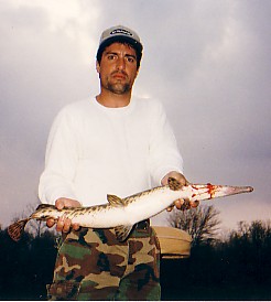 Click to expand / contract the width of this image