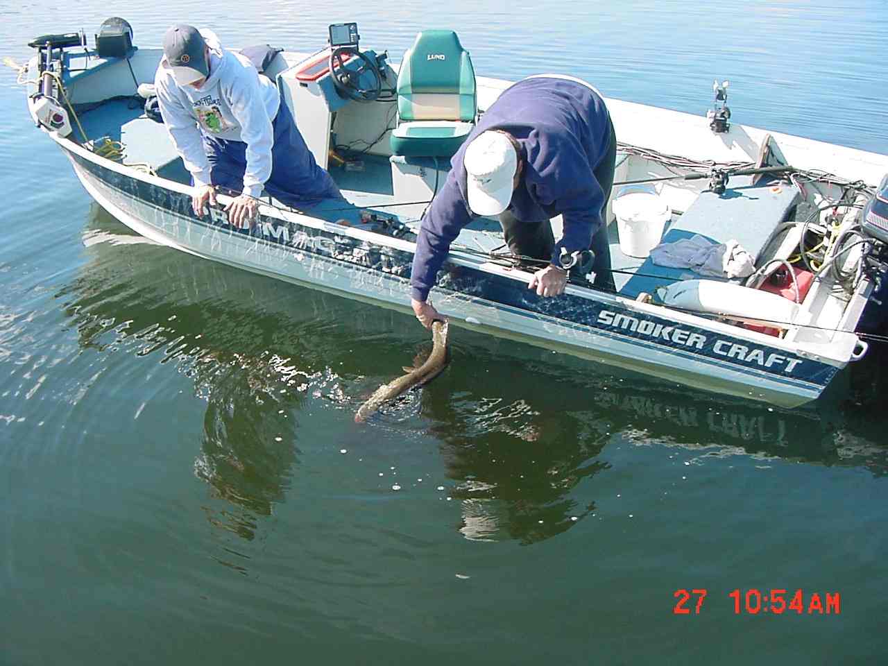 Click to expand / contract the width of this image