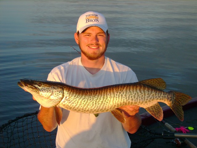 Click to expand / contract the width of this image