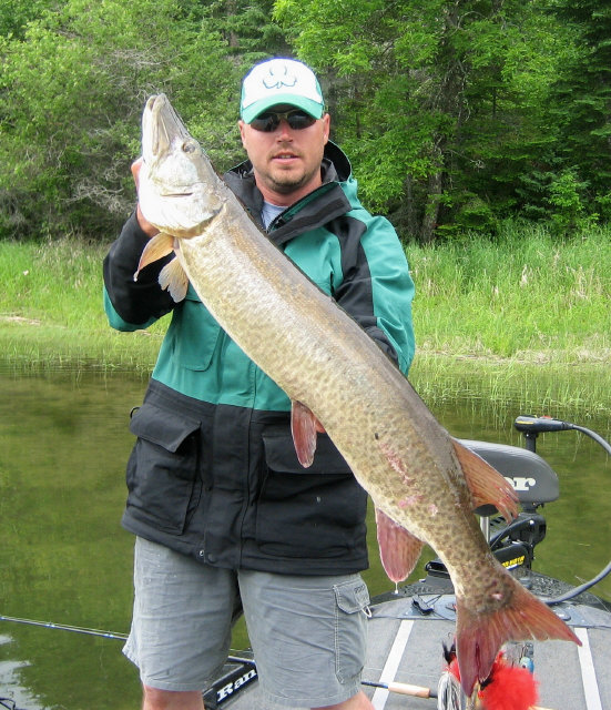 Click to expand / contract the width of this image