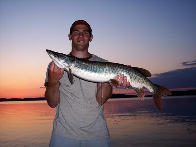 Click to expand / contract the width of this image