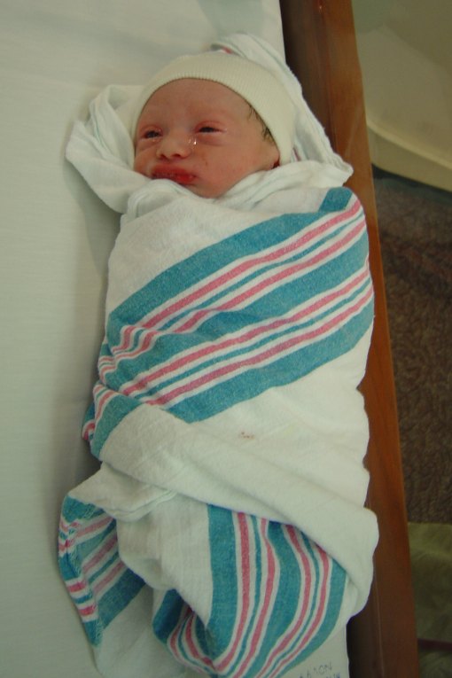 Click to expand / contract the width of this image