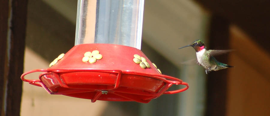 Click to expand / contract the width of this image