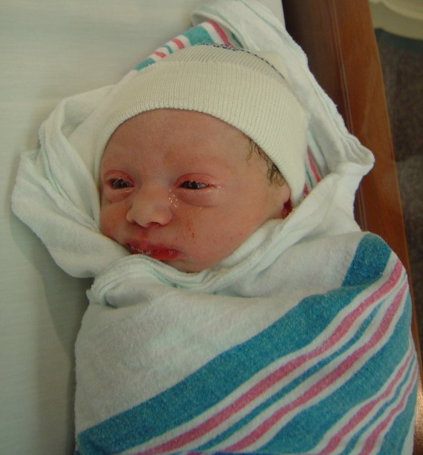 Click to expand / contract the width of this image