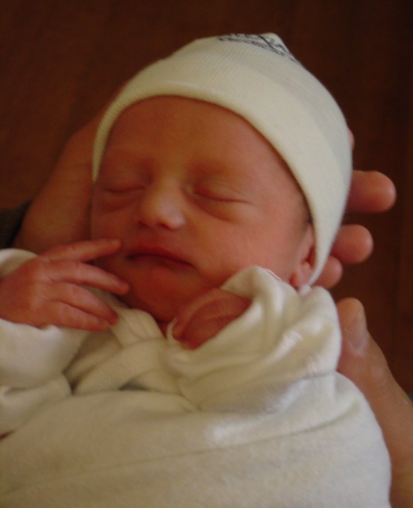 Click to expand / contract the width of this image