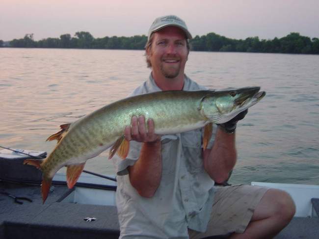 Click to expand / contract the width of this image