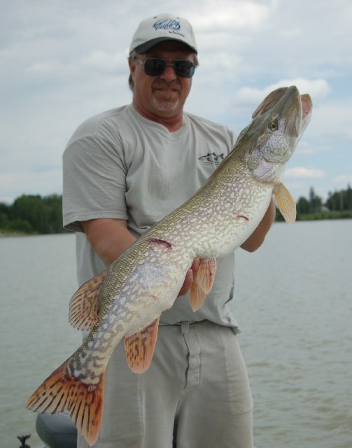 Click to expand / contract the width of this image