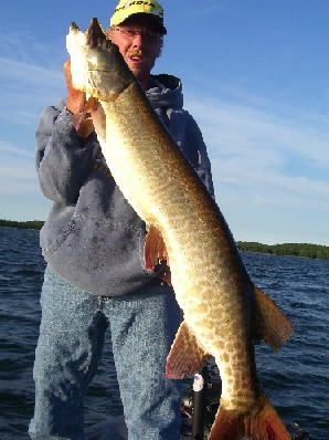 Click to expand / contract the width of this image