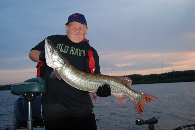 Click to expand / contract the width of this image