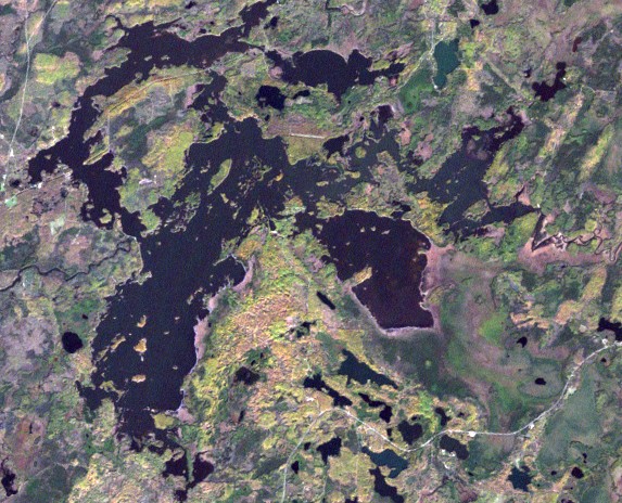 Click to expand / contract the width of this image