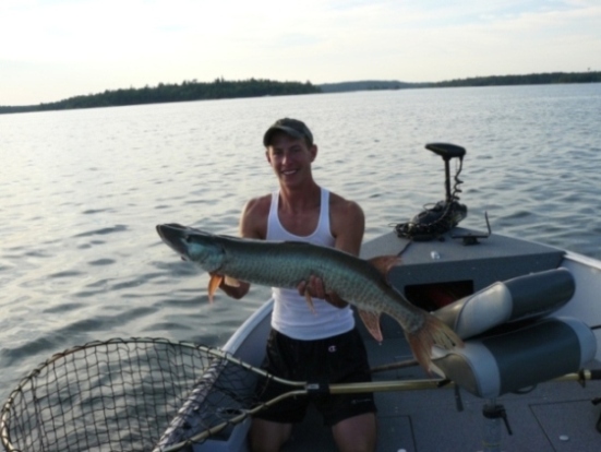 Click to expand / contract the width of this image