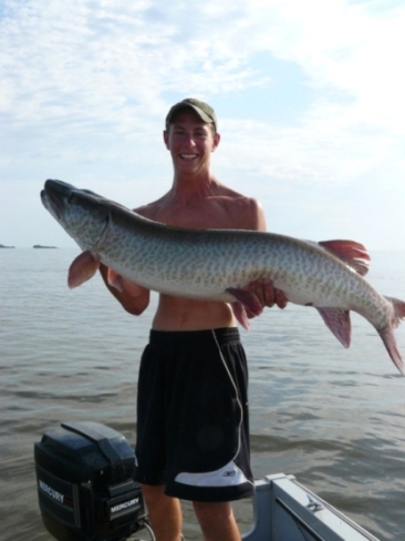 Click to expand / contract the width of this image