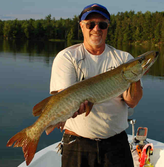 Click to expand / contract the width of this image