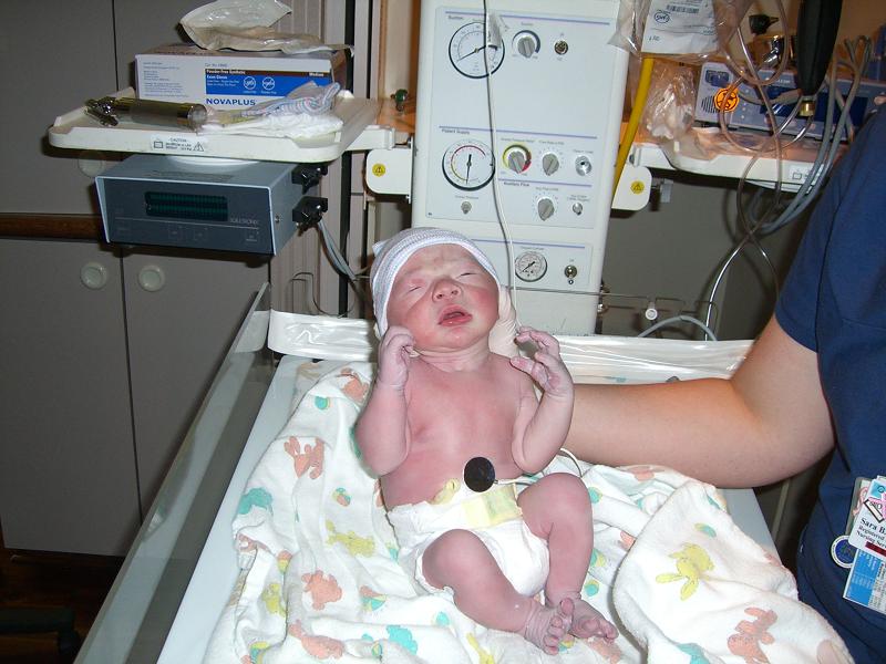 Click to expand / contract the width of this image