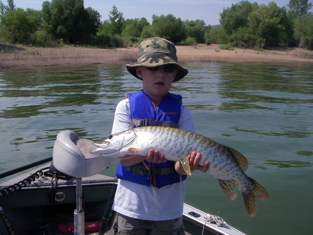 Click to expand / contract the width of this image