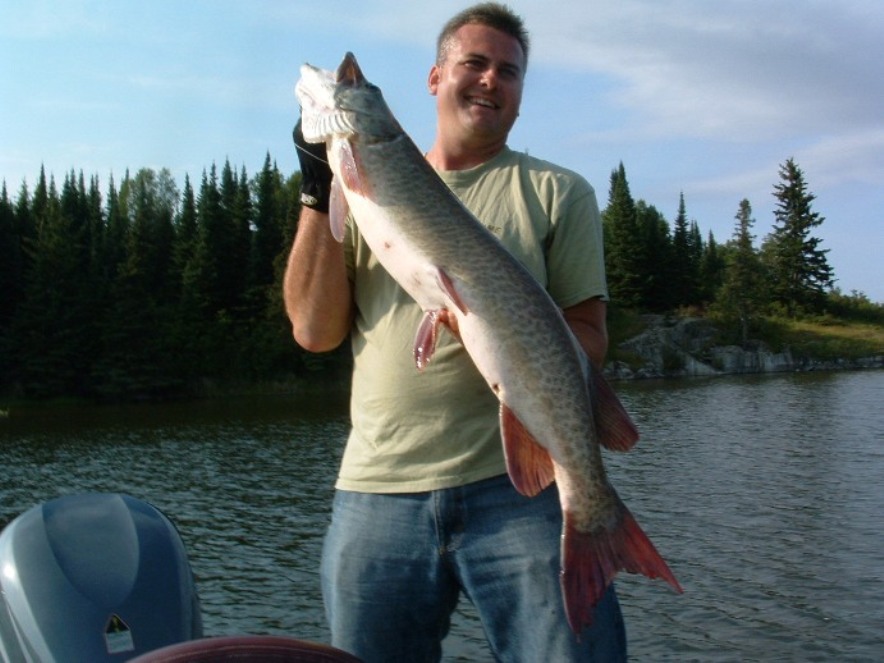 Click to expand / contract the width of this image