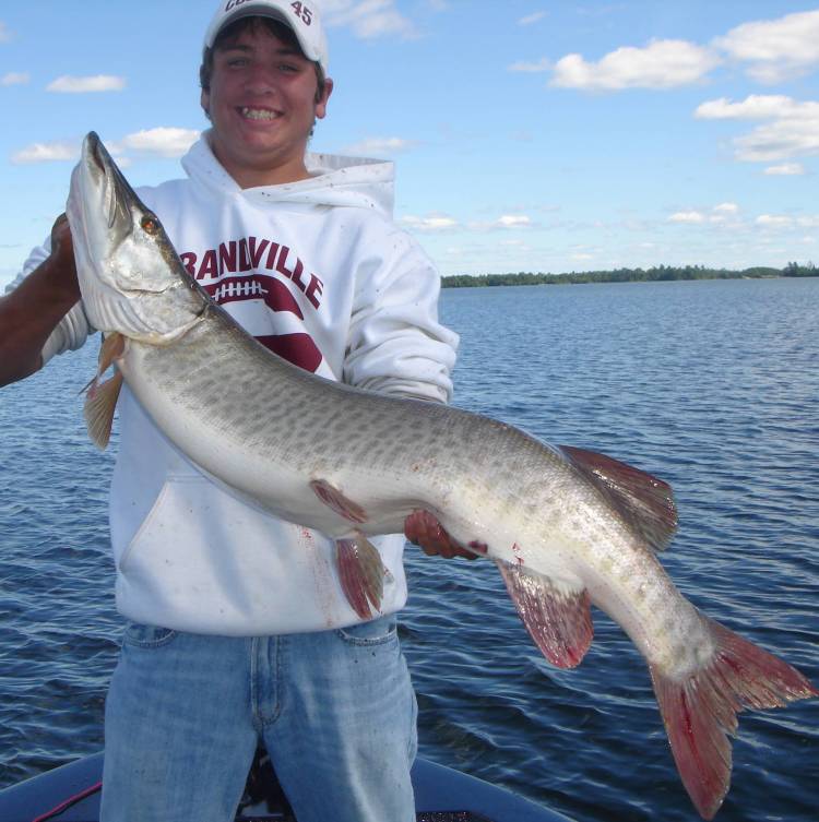 Click to expand / contract the width of this image